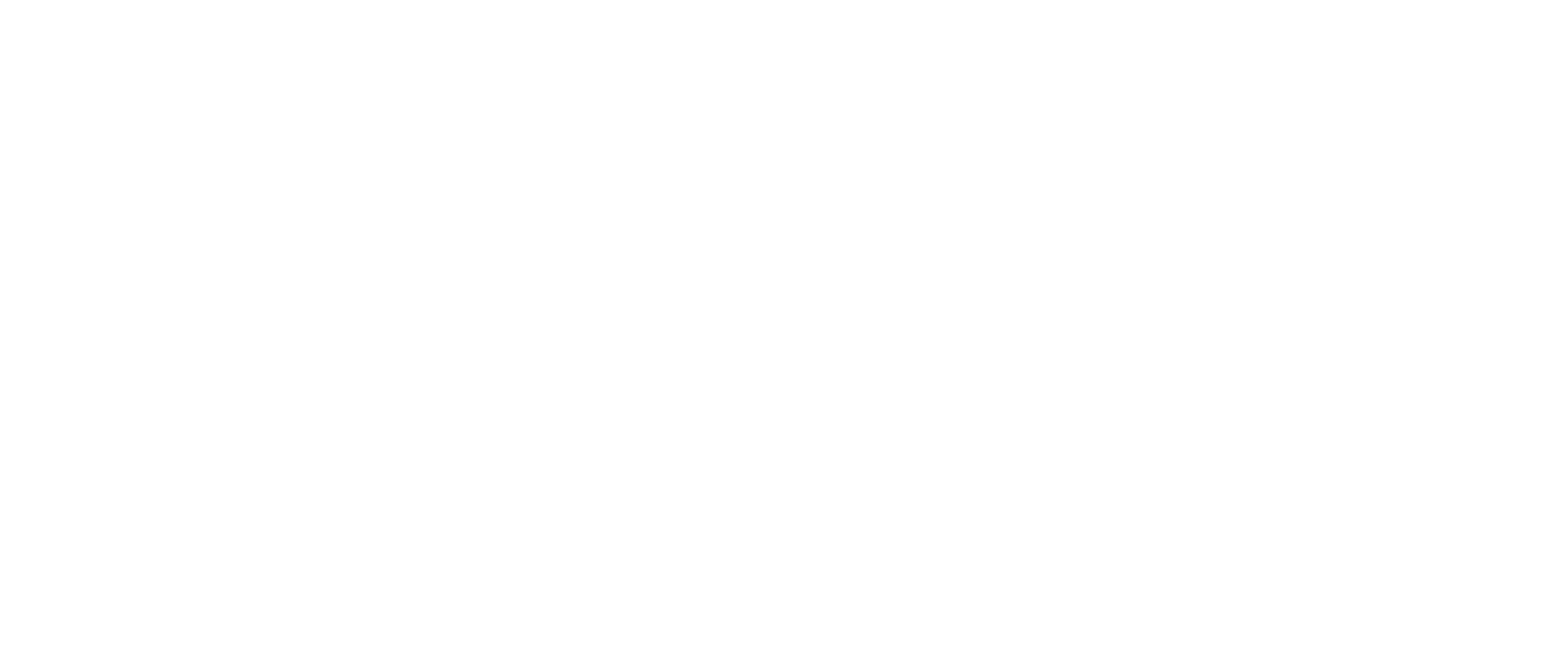 white-stk-logo